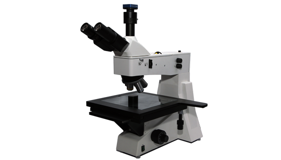 Upright Microscope