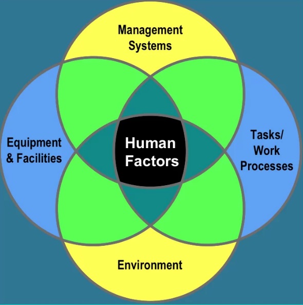 HUMAN FACTOR ENGINEERING AND ERGONOMIC STUDIES