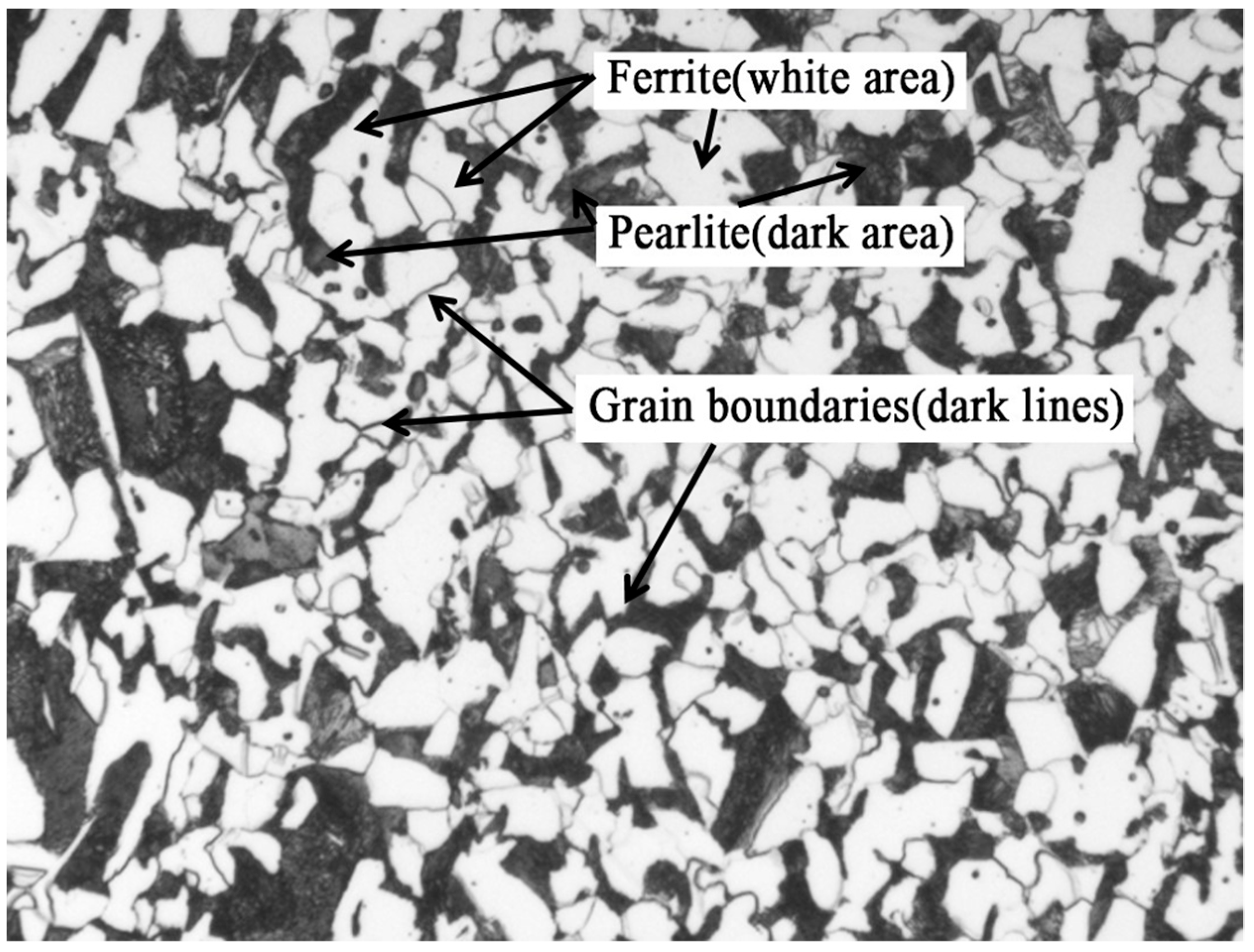 Typical Microstructures